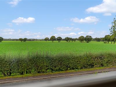 Picture 30